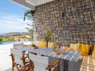 Yalazios House 1 - Shared pool - Drios - 9