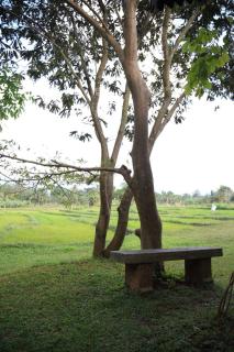 Village Verandah by Oshi - Dambulla - 6