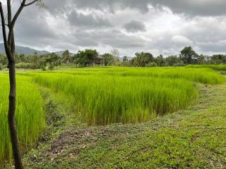 Village Verandah by Oshi - Dambulla - 7