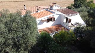 Il giardino di FraFa - Quartu SantʼElena - 5