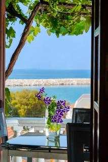 Rustic Villa Thassos - Limenaria - 7