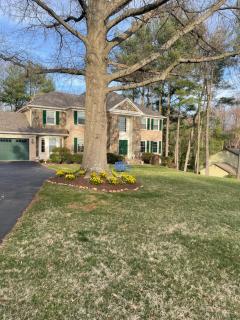 Spacious Light & Bright Private Apartment - Great Falls - 0