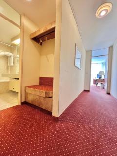 Schwarzwaldapartment Nr 14 40qm Zwei Einzel Betten Rustikal - Altensteig - 8