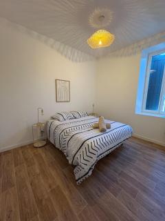 Albert I Ground floor l Terrace l Garden l Air conditioning - Castres - 3