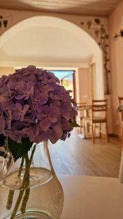 Foresteria Villa Simona - 5
