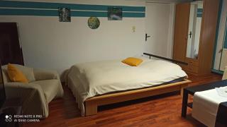 Appartement In Ueckermünde Mit Botanischem Garten - Ueckermünde - 3