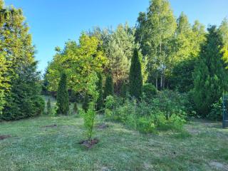 Domek letniskowy nad Wkrą - 4