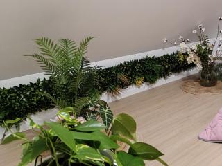 Villa Fiorenza - jungle - nature & vignobles - 9