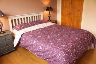 Tranquil Carlow Bungalow - Crockaun - 2