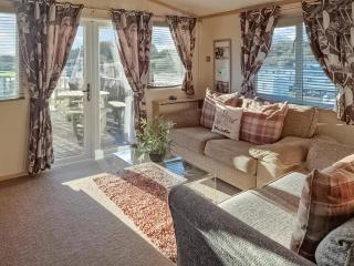Cascade Mini Lodge - Uk48412 - Newton Stewart - 8