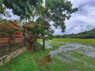 Nellu - Tranquil Pool Villa & Organic Farmstay near Varkala - 3