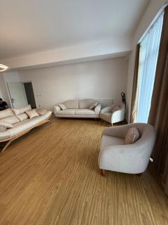 Huge Penthouse 170 - Skopje - 8