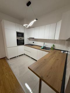 Huge Penthouse 170 - Skopje - 7