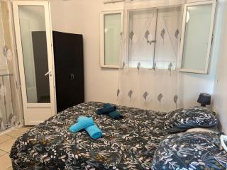 Maison de charme à Ajaccio avec terrasse et jardin - 6