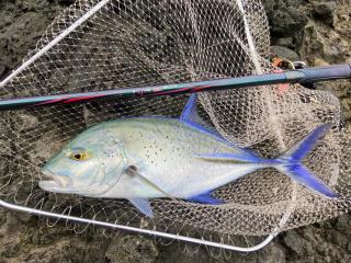 HaoYuo Hotel船票機車活動代訂優惠ferry scooter water acs - 7