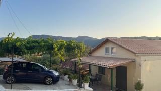 Basil & Sunrise - 8