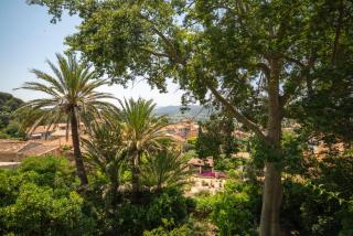 Lilie House - Bormes-les-Mimosas - 7