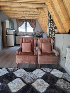 Carpathian A-frame - Dragoslavele - 6