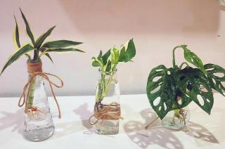 Damiya Peaceful House - 6