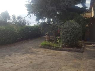 Il Borgo dei Pini Il Girasole - Vinci - 5