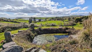 West Colla Place - Schull - 0