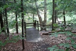 Peaceful Cabin Retreat with a Fishing Pond near Manistee National Forest, Michigan - New Era - 2