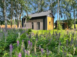 Domek na Kaszubach - Pierszczewo - 7