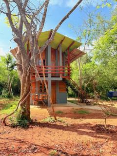 Wilpattu Jungle Resort - Nochchiyagama - 9