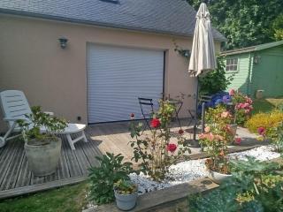 Les hortensias - 6