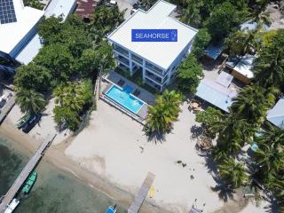 Seahorse Escape #1 condo - Roatán - 9