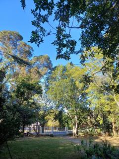 Makhanda Gardens - Grahamstown - 8