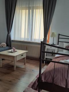 Apartment Rosalie Burgblick EuropaPark in ca 15min erreichbar - Kenzingen - 5