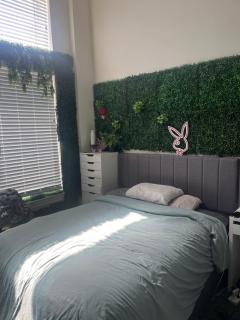 Luxury Apartment UConn - Storrs - 3