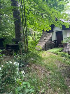 Studio Gościnne ANTEK - Czarnów - 0