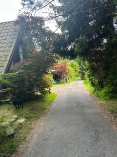 Studio Gościnne ANTEK - Czarnów - 7