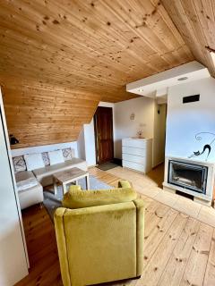Studio Gościnne ANTEK - Czarnów - 5