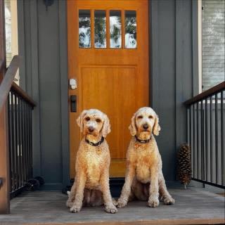 Lewis Cabin - Boat Dock - Lake Front - Sleeps 10 - 9