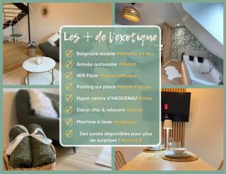 L'Exotique Baignoire Double Cozy Duplex - Haguenau - 7