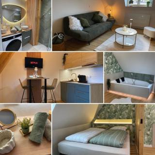 L'Exotique Baignoire Double Cozy Duplex - Haguenau - 8
