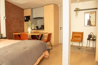HOM I Depto con Terraza Piso1 4PAX Lastarria - Santiago - 5