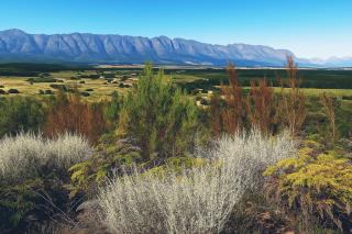 African Style Hut Plus Free Massage With Sauna And Hot Tub - Tulbagh - 1