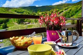 Gite Caribou - Besse-et-Saint-Anastaise - 0