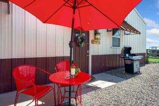 Llama-Stay at Spooky Tooth Ranch - Mtn Views! - Loveland - 7