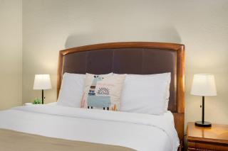 Llama-Stay at Spooky Tooth Ranch - Mtn Views! - Loveland - 4