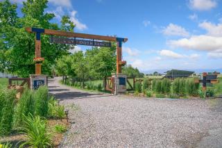 Llama-Stay at Spooky Tooth Ranch - Mtn Views! - Loveland - 2