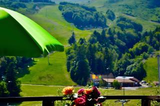 Gite Caribou - Besse-et-Saint-Anastaise - 1