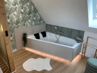 L'Exotique Baignoire Double Cozy Duplex - Haguenau - 9