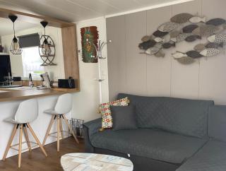 Magnificent Tribu Df14 ecolodge with heated pool and jacuzzi - Wifi - Les Mathes - 4