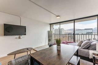 Downtown Mountain Views Fire pit Free Pkg Gym - 1