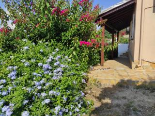 Aglaia House - 8